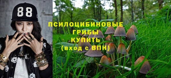 мдпв Нефтекумск